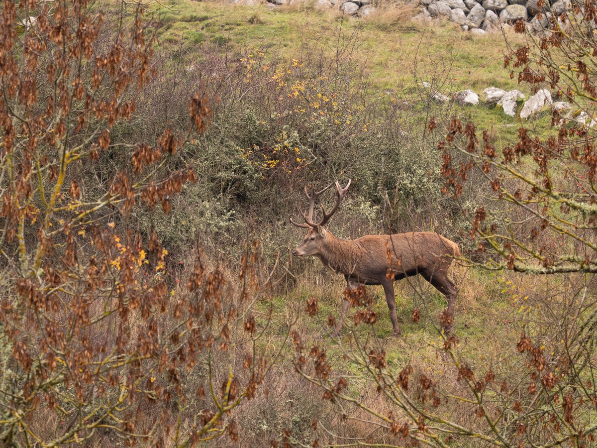 17112025-17 11 25 (1).jpg